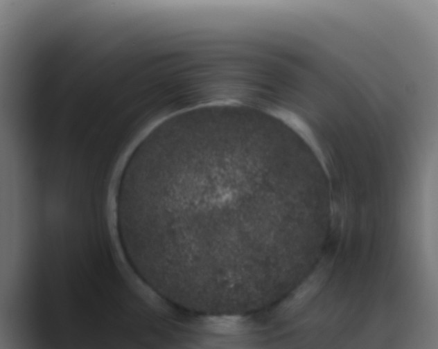 X0000089740859200706281606