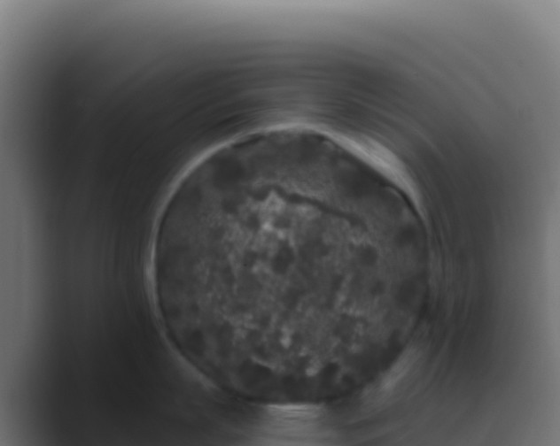 X0000089740863200706281606