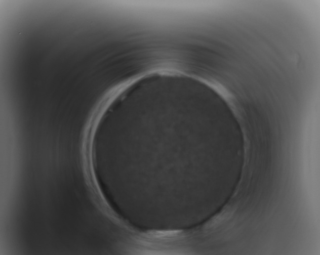 X0000089740864200706281606