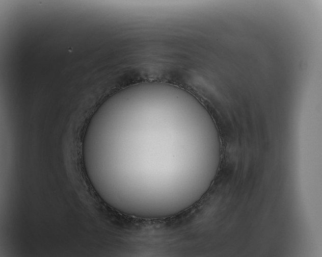 X0000089740865200706281605