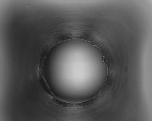 X0000089740866200706281605