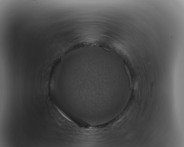 X0000089740868200706281605