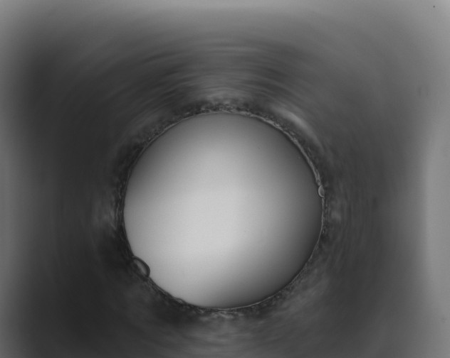X0000089740869200706281605