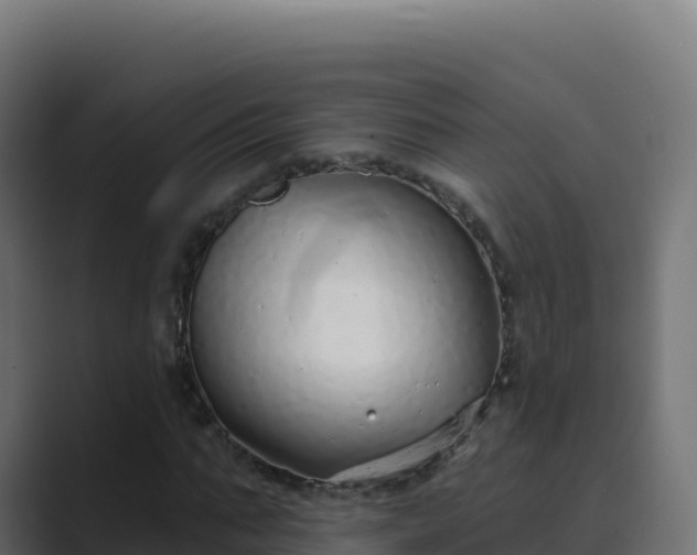 X0000089740871200706281605