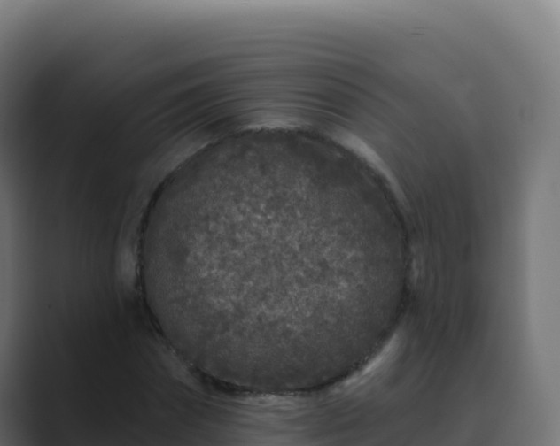 X0000089740874200706281605