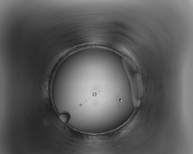 X0000089740875200706281605