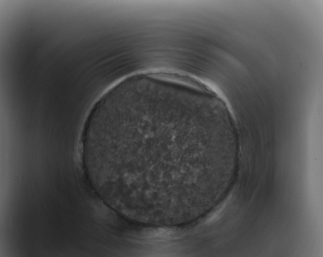 X0000089740879200706281605