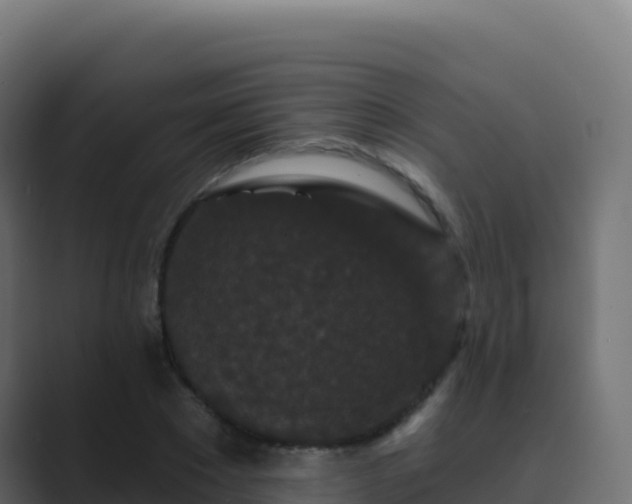 X0000089740881200706281605