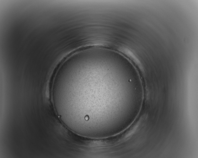 X0000089740883200706281605