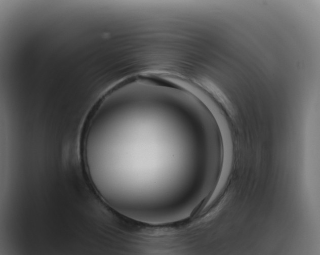 X0000089740884200706281605