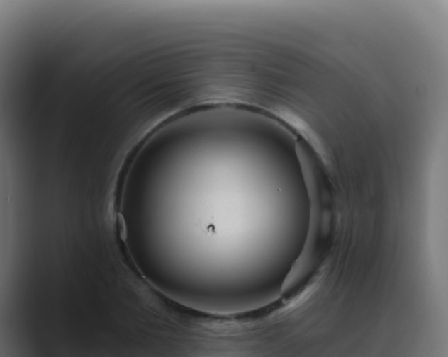 X0000089740885200706281605