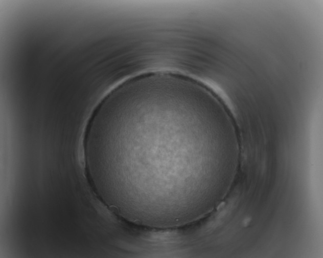 X0000089740887200706281605