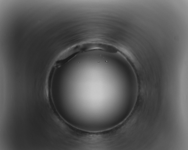 X0000089740888200706281605