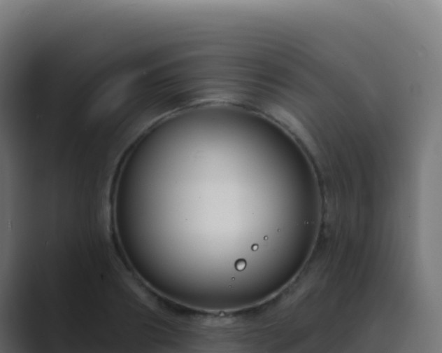 X0000089740890200706281605