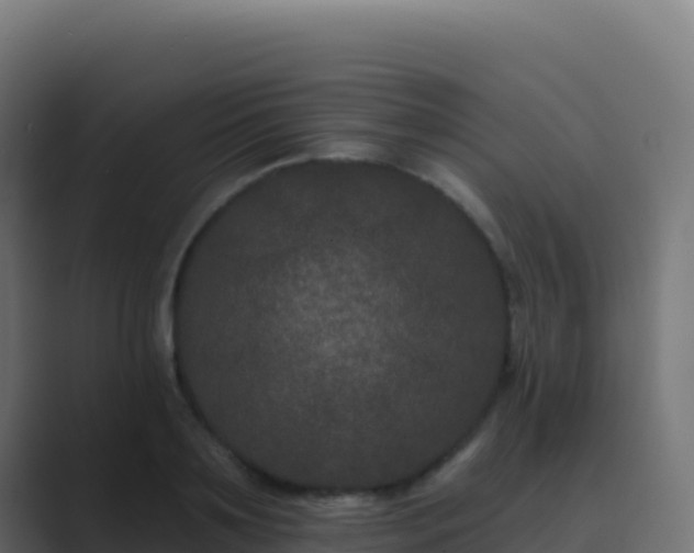 X0000089740891200706281605