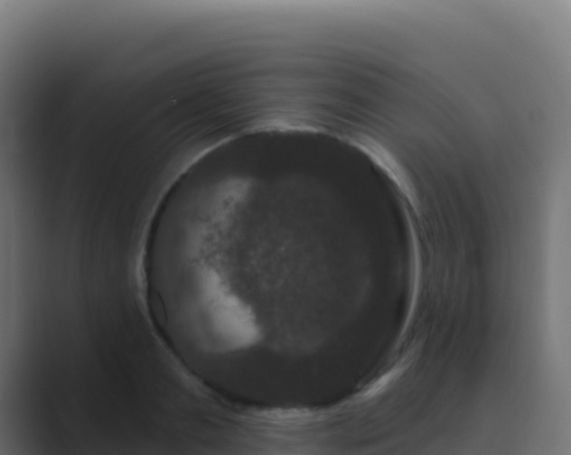 X0000089740893200706281605