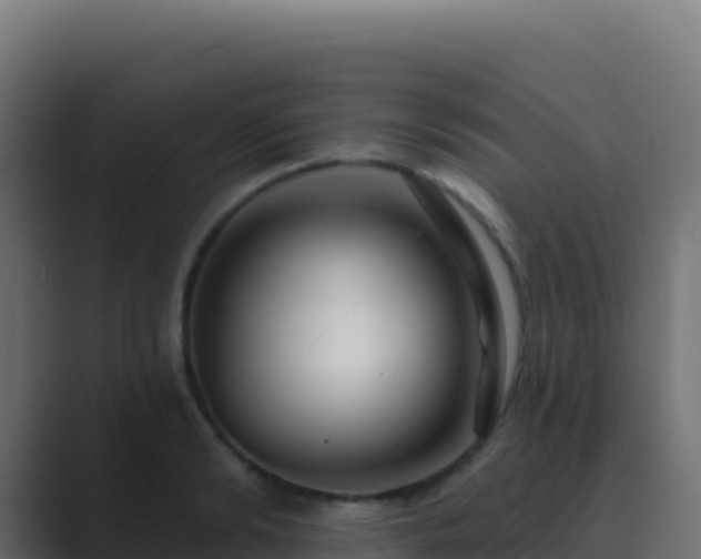 X0000089740894200706281605