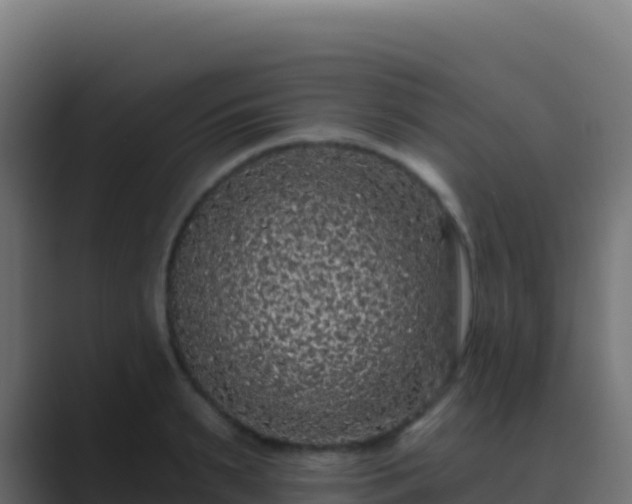 X0000089740895200706281605