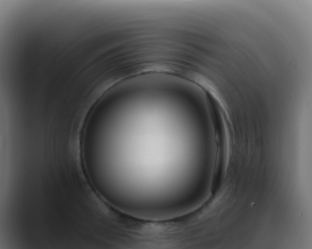 X0000089740898200706281605
