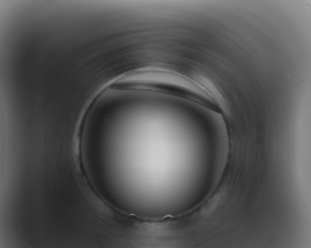 X0000089740900200706281605