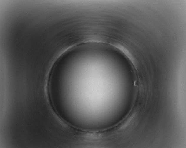 X0000089740901200706281605