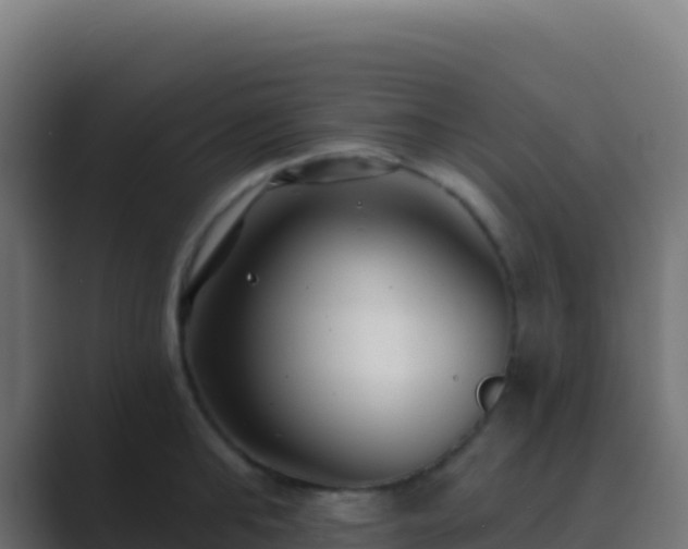 X0000089740902200706281605