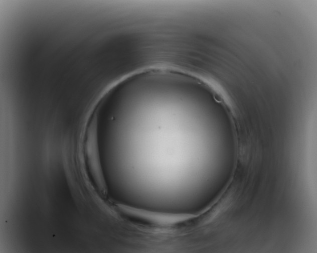 X0000089740903200706281605