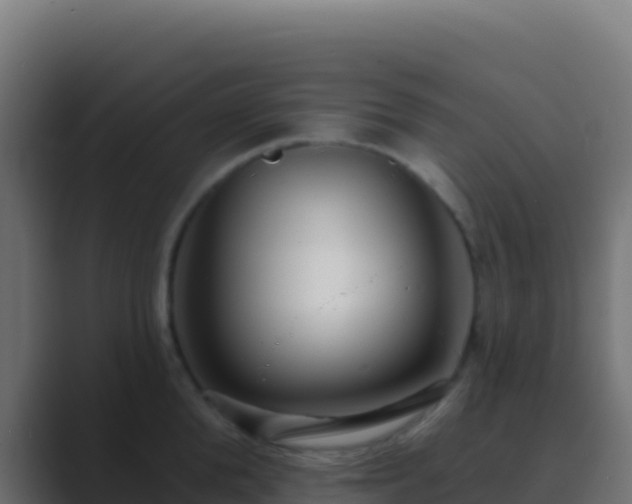 X0000089740904200706281605