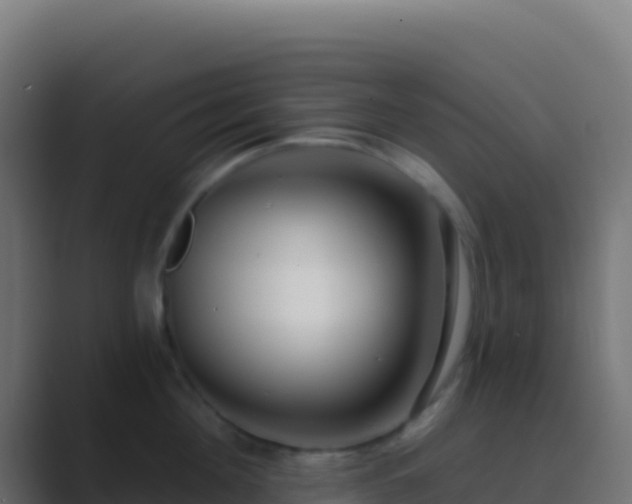 X0000089740908200706281605