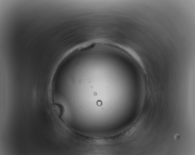 X0000089740911200706281605