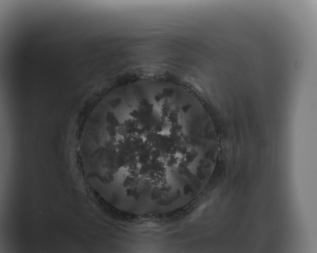 X0000089740913200706281604