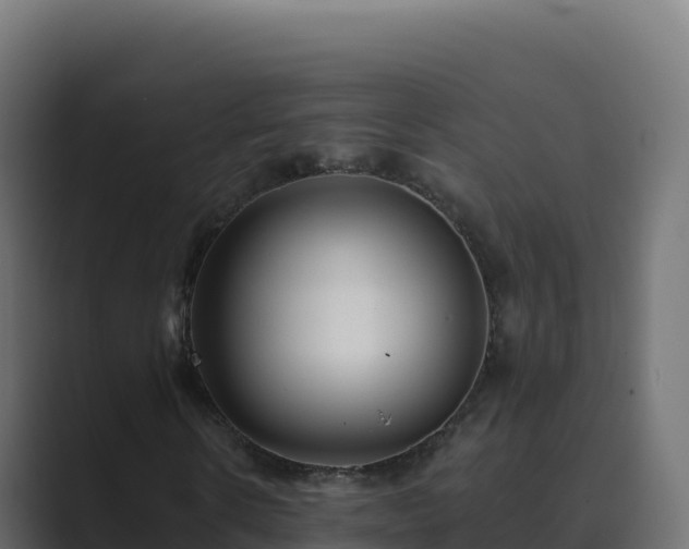 X0000089740914200706281604