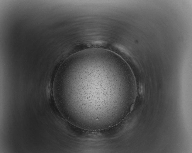 X0000089740915200706281604