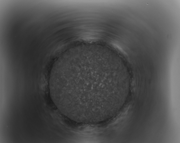 X0000089740917200706281604