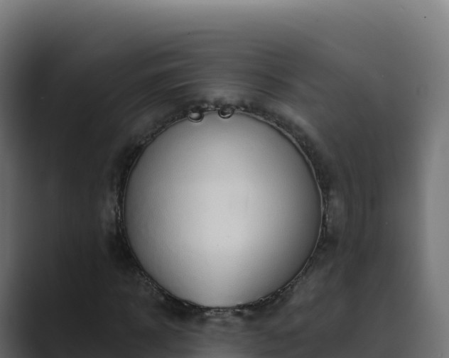X0000089740918200706281604