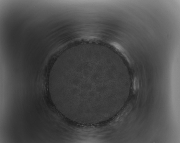 X0000089740919200706281604