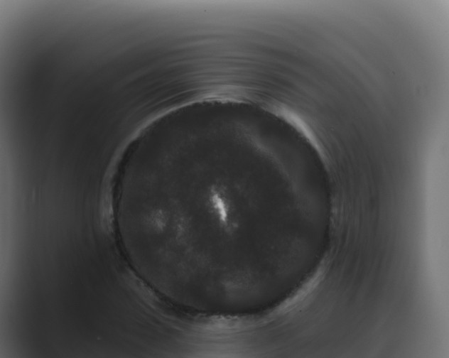 X0000089740923200706281604