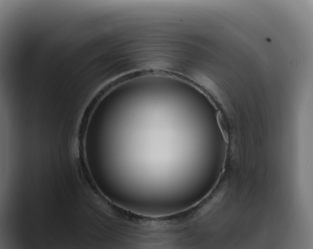 X0000089740924200706281604