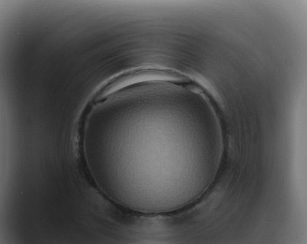 X0000089740926200706281604