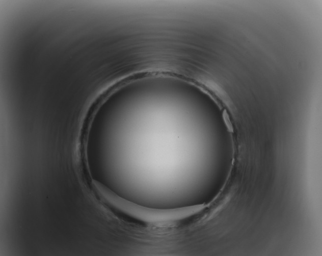 X0000089740928200706281605