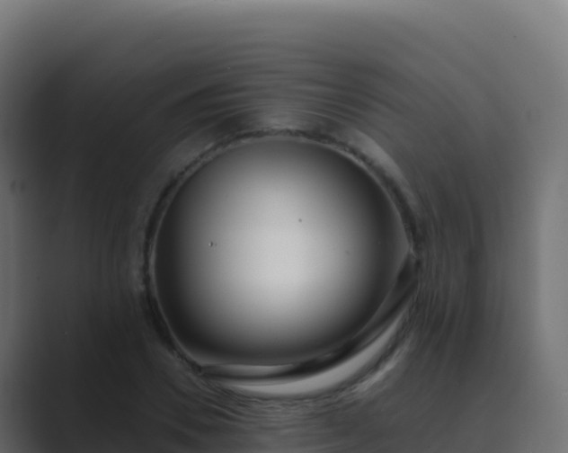 X0000089740930200706281605