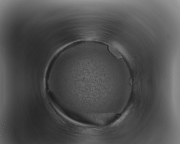 X0000089740932200706281605