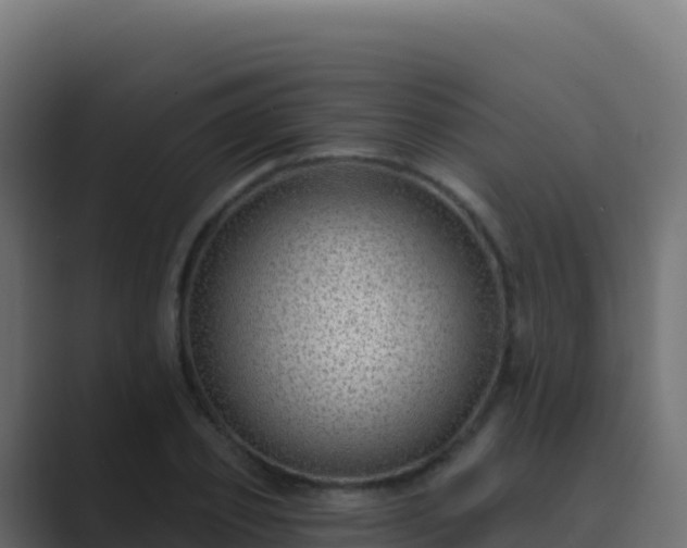 X0000089740933200706281605