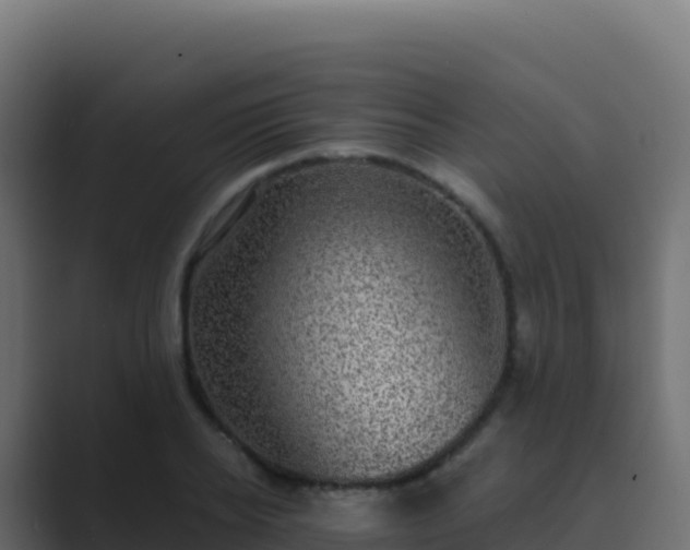X0000089740934200706281605