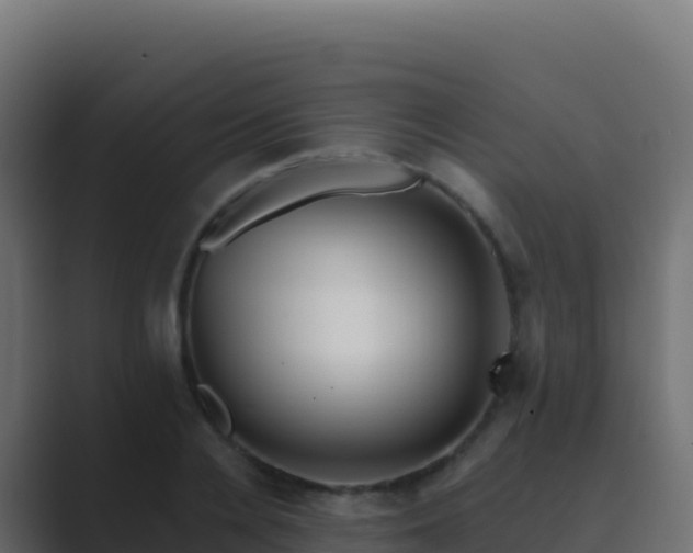 X0000089740936200706281605