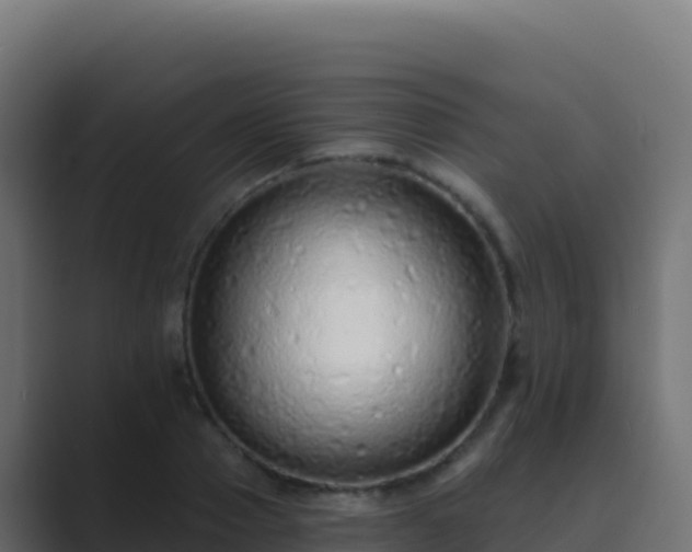 X0000089740937200706281605