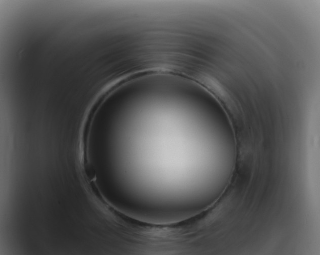 X0000089740940200706281605