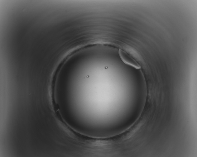 X0000089740942200706281605