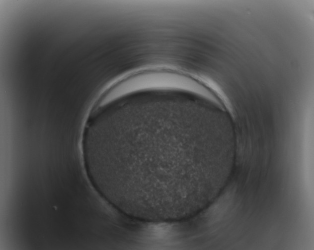 X0000089740943200706281605