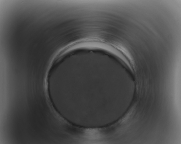 X0000089740944200706281605